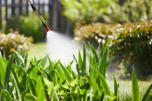24/7 Emergency Mosquito Control experts in Juarez, TX