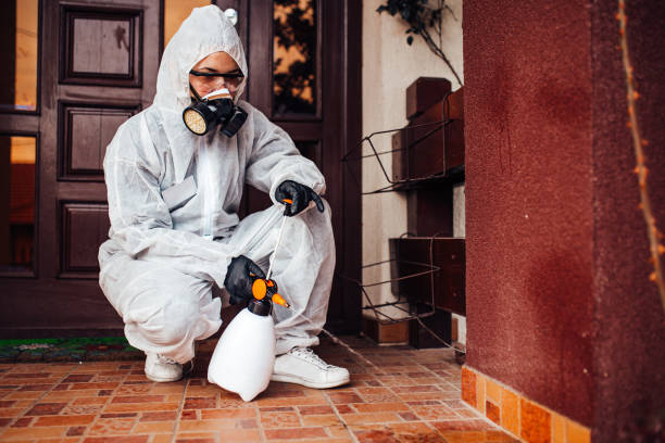 Reliable Mosquito Control contractor in Juarez, TX by Show Me Pest Control